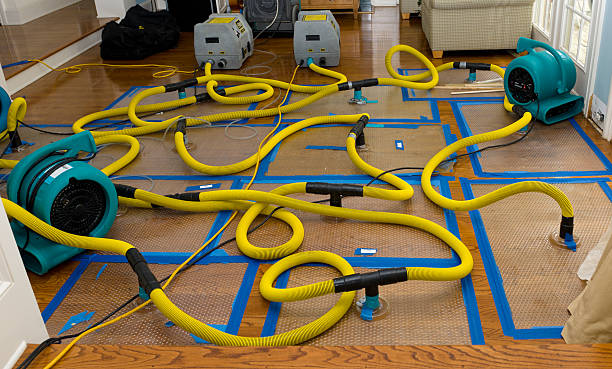 Professional Water Damage Repair technician working in Houston, MS